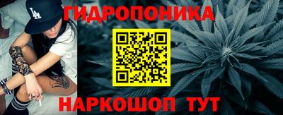 jwh Шебекино