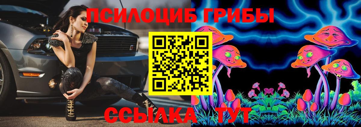 Энгельс  Псилоцибиновые грибы мицелий  Вход с VPN 